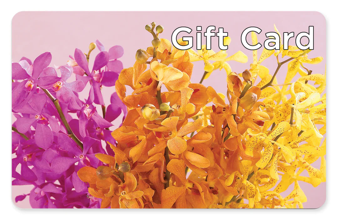Gift Card – YOLE'S FLOWERS, New Orleans LA