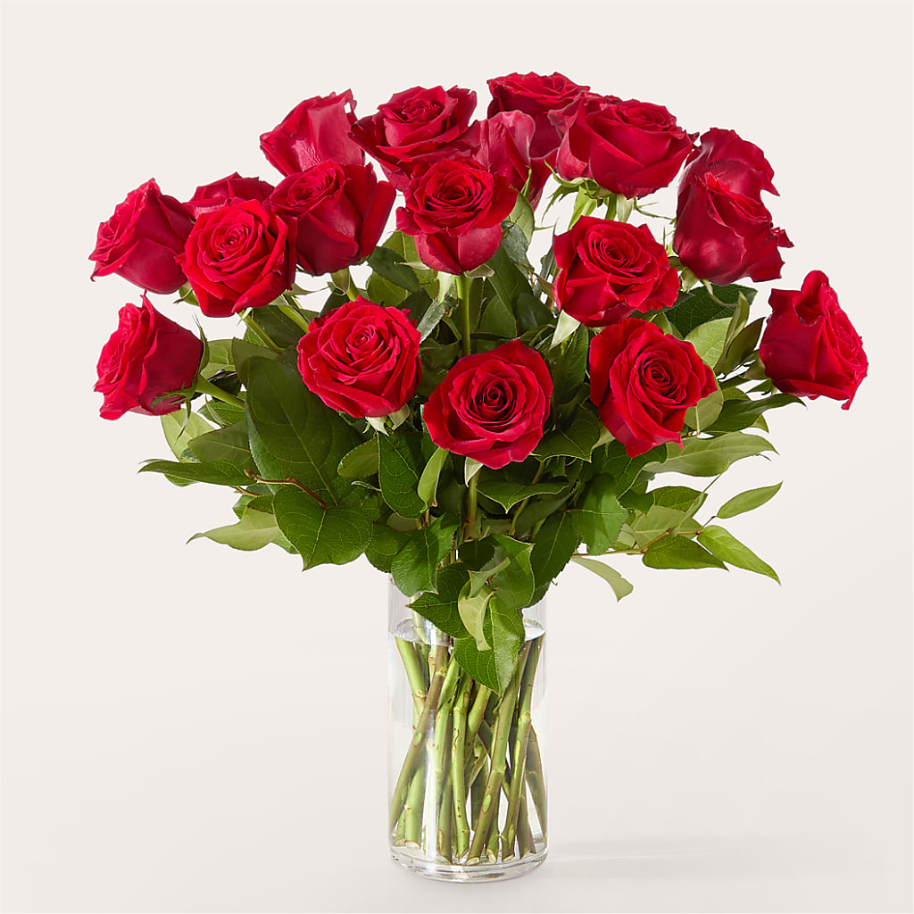 The One Red Rose Bouquet – YOLE'S FLOWERS, New Orleans LA