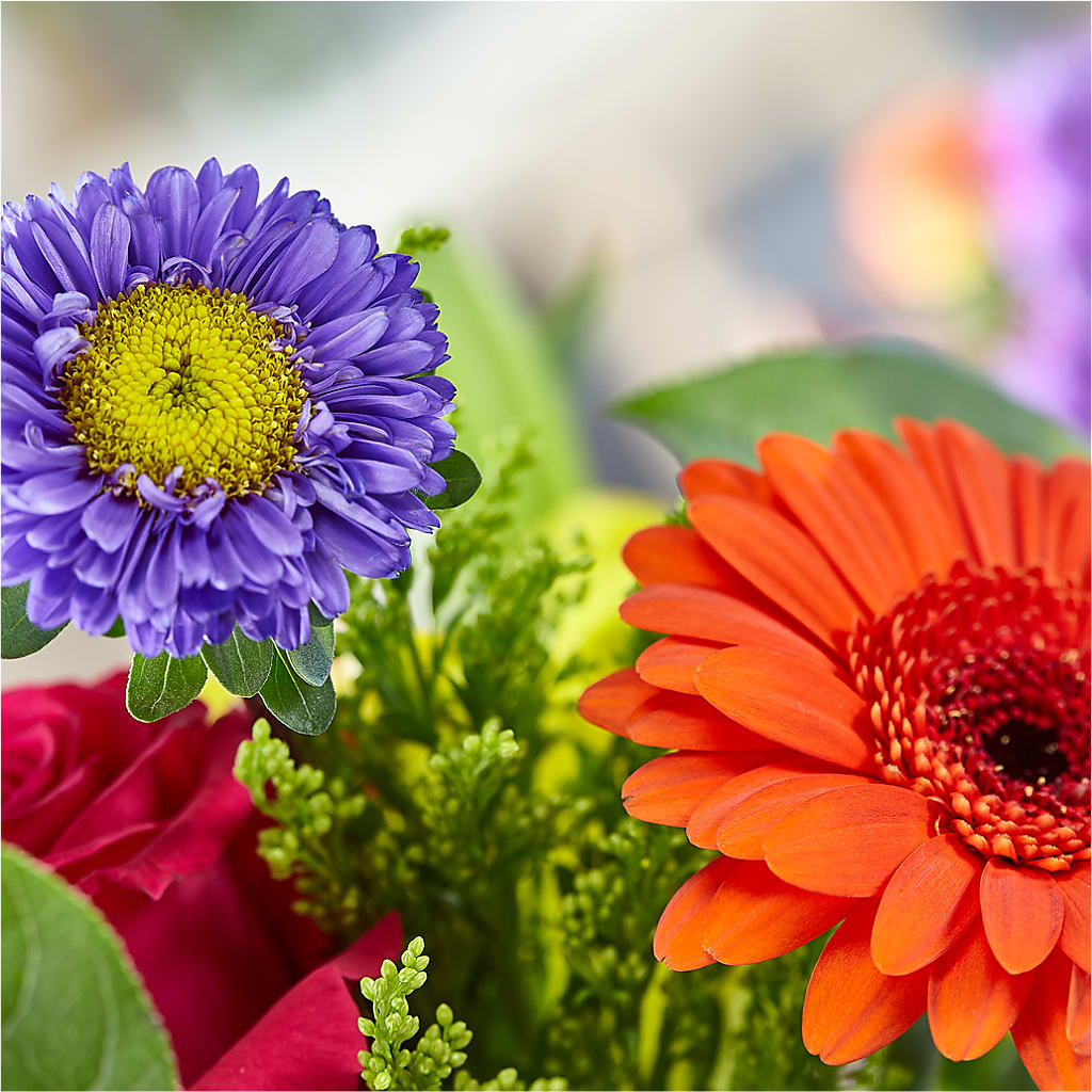Bold & Bright – A Florist Original – YOLE'S FLOWERS, New Orleans LA