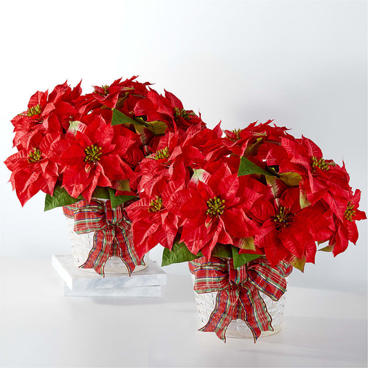 Happiest Holidays Poinsettia Bundle – YOLE'S FLOWERS, New Orleans LA