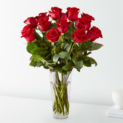 Long Stem Red Rose Bouquet – YOLE'S FLOWERS, New Orleans LA