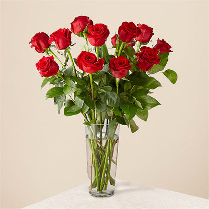 Long Stem Red Rose Bouquet – YOLE'S FLOWERS, New Orleans LA