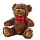 Adorable Plush Bear – YOLE'S FLOWERS, New Orleans LA