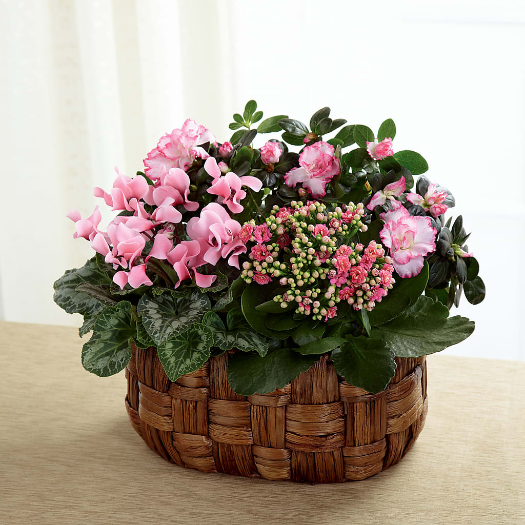 Pink Assortment – YOLE'S FLOWERS, New Orleans LA