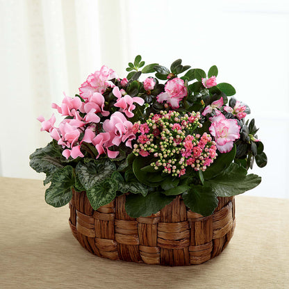 Pink Assortment – YOLE'S FLOWERS, New Orleans LA