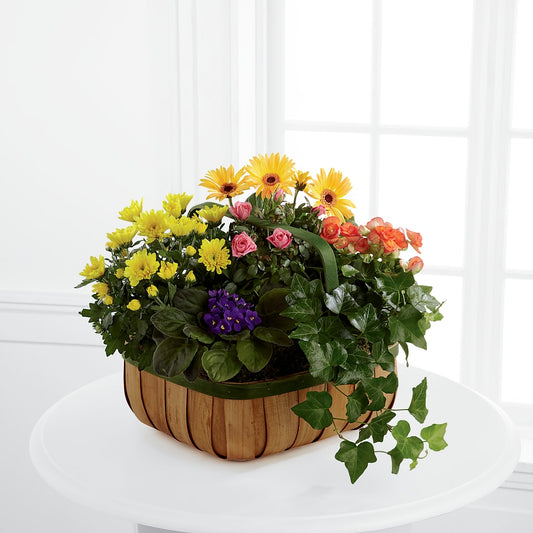 Gentle Blossoms Basket – YOLE'S FLOWERS, New Orleans LA