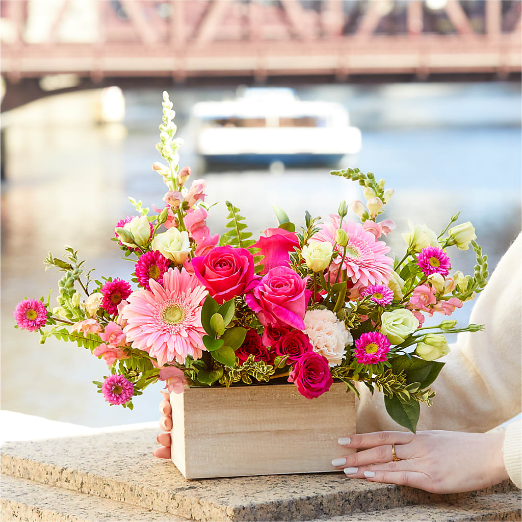 Too Cute Bouquet – YOLE'S FLOWERS, New Orleans LA