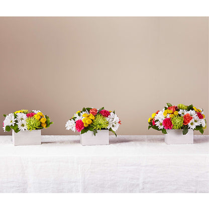 Sorbet Bouquet – YOLE'S FLOWERS, New Orleans LA