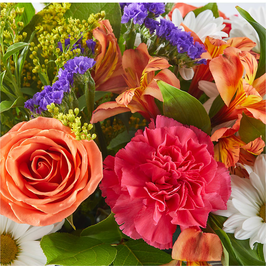 Oopsie Daisy Box Bouquet – YOLE'S FLOWERS, New Orleans LA