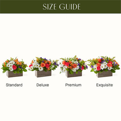 Oopsie Daisy Box Bouquet – YOLE'S FLOWERS, New Orleans LA