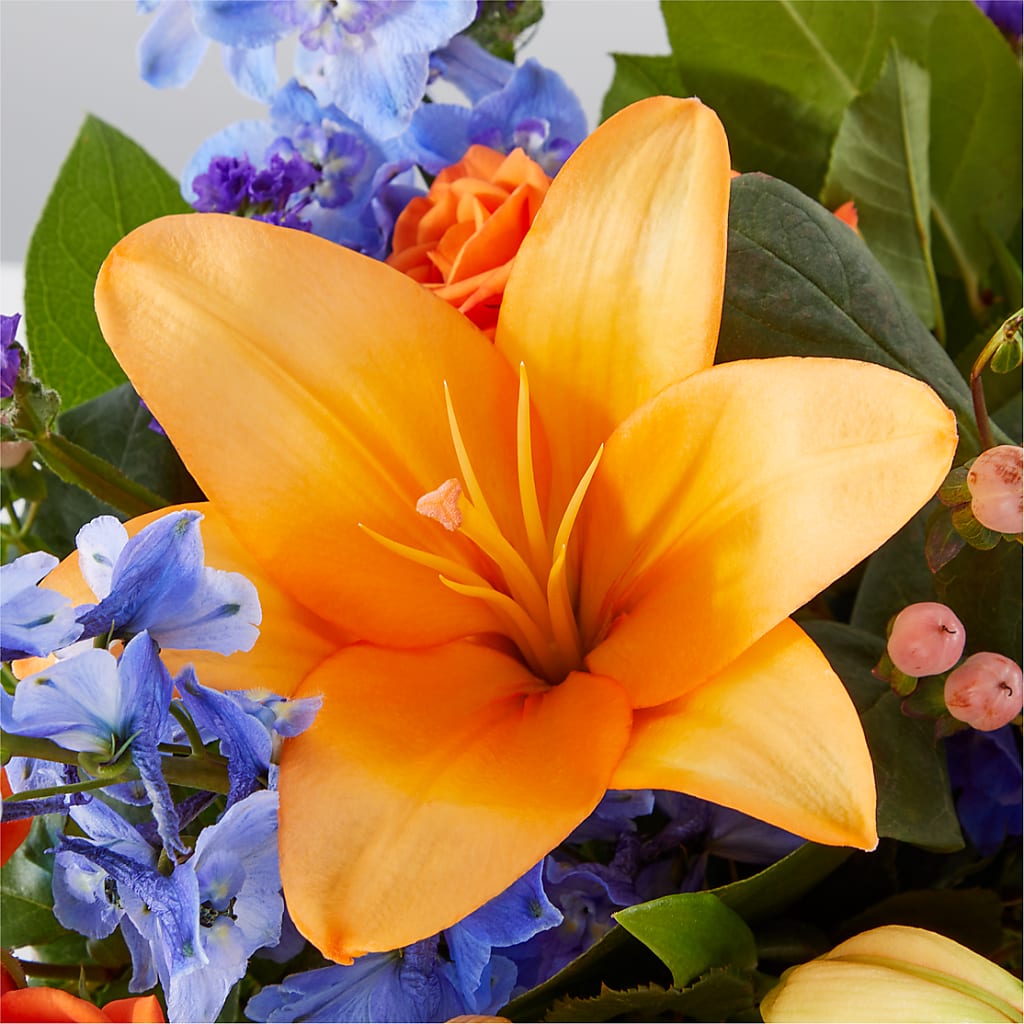 Radiant Citrus Box Bouquet – YOLE'S FLOWERS, New Orleans LA