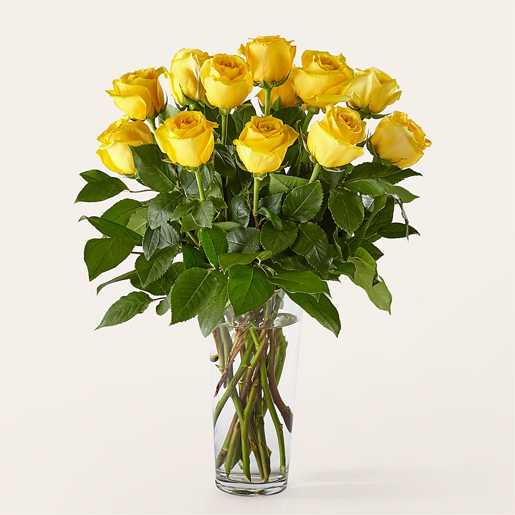 Long Stem Yellow Rose Bouquet – YOLE'S FLOWERS, New Orleans LA