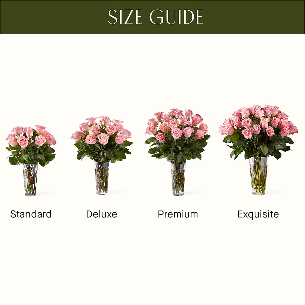 Long Stem Pink Rose Bouquet – YOLE'S FLOWERS, New Orleans LA