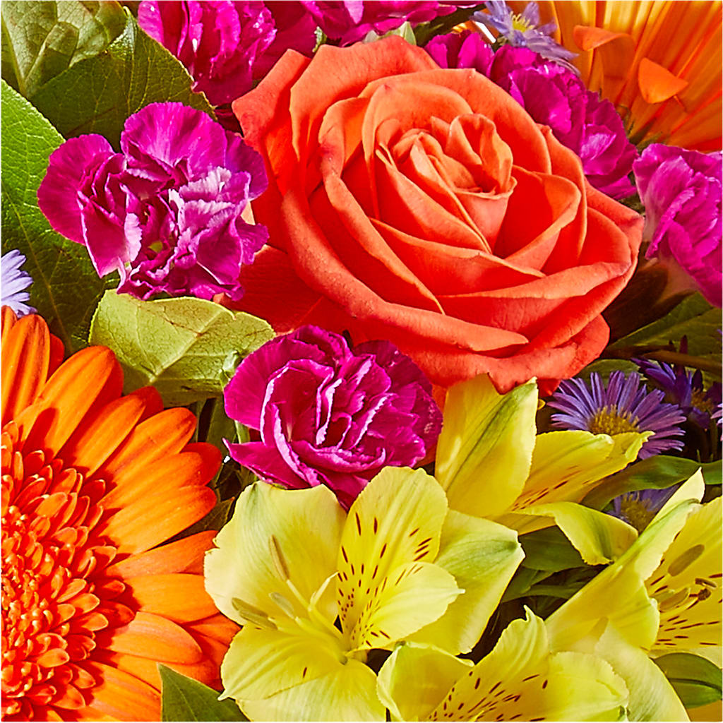 Tricks & Treats Pumpkin – YOLE'S FLOWERS, New Orleans LA