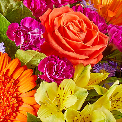 Tricks & Treats Pumpkin – YOLE'S FLOWERS, New Orleans LA