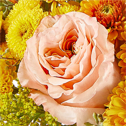 Peachy Pumpkin – YOLE'S FLOWERS, New Orleans LA