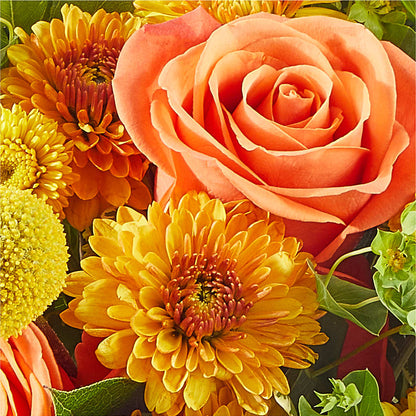 Gourdgeous Pumpkin – YOLE'S FLOWERS, New Orleans LA