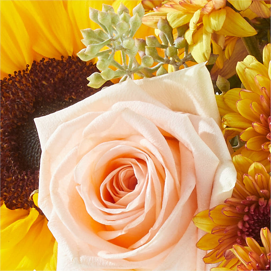 Pumpkin to Talk About Bouquet – YOLE'S FLOWERS, New Orleans LA