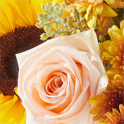 Pumpkin to Talk About Bouquet – YOLE'S FLOWERS, New Orleans LA