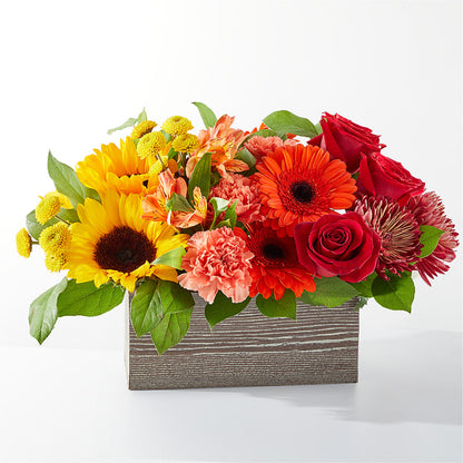 Autumn Orchard Bouquet – YOLE'S FLOWERS, New Orleans LA