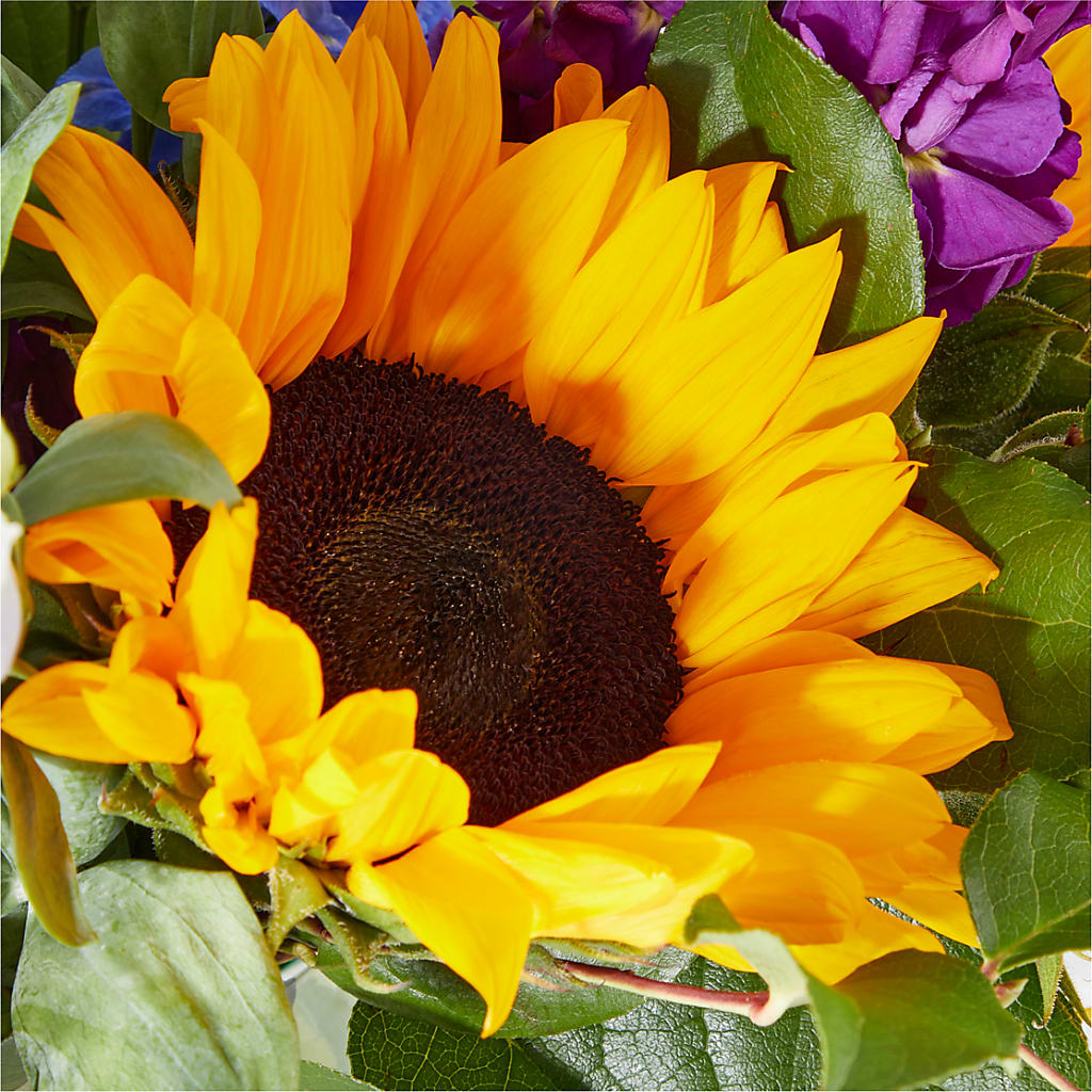 Catching Rays Bouquet – YOLE'S FLOWERS, New Orleans LA