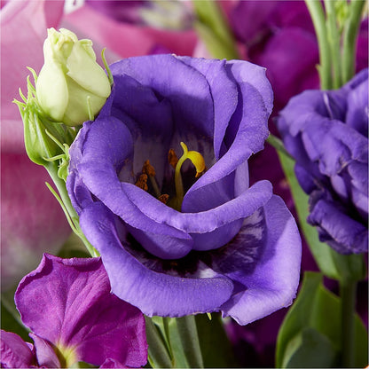 Twilight Glow Bouquet – YOLE'S FLOWERS, New Orleans LA