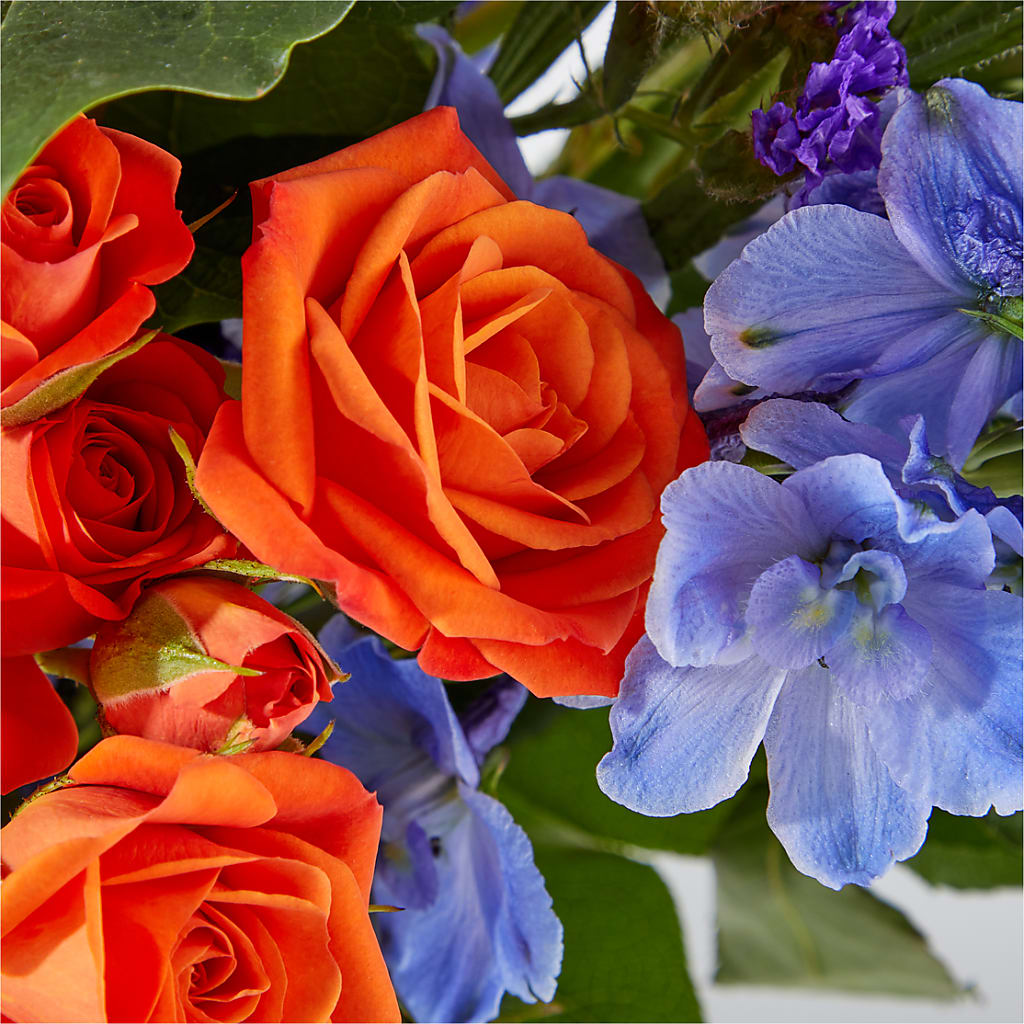 Radiant Citrus Bouquet – YOLE'S FLOWERS, New Orleans LA