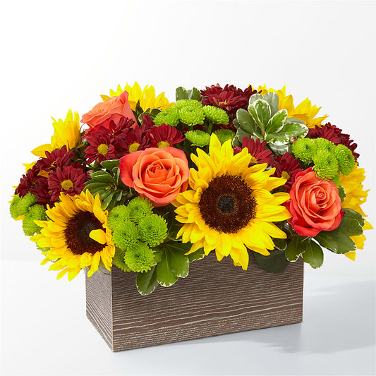 Happy Harvest Garden – YOLE'S FLOWERS, New Orleans LA