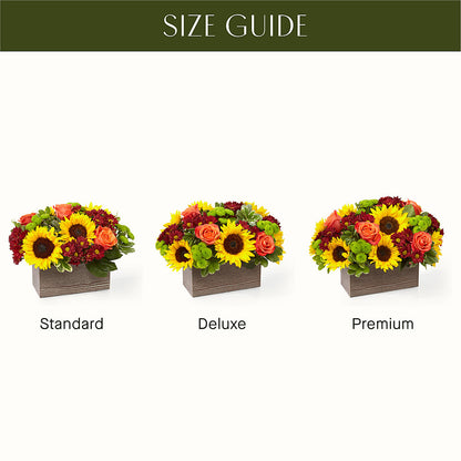 Happy Harvest Garden – YOLE'S FLOWERS, New Orleans LA