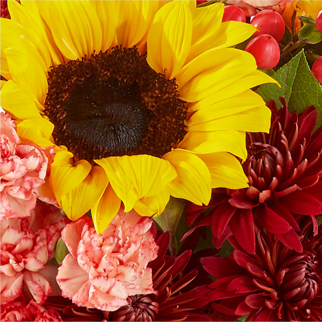 Fresh Cider Bouquet – YOLE'S FLOWERS, New Orleans LA
