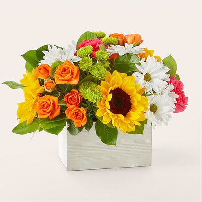 Sun-drenched Blooms Box Bouquet – YOLE'S FLOWERS, New Orleans LA