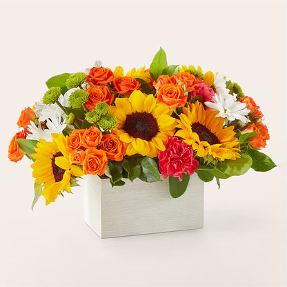 Sun-drenched Blooms Box Bouquet – YOLE'S FLOWERS, New Orleans LA