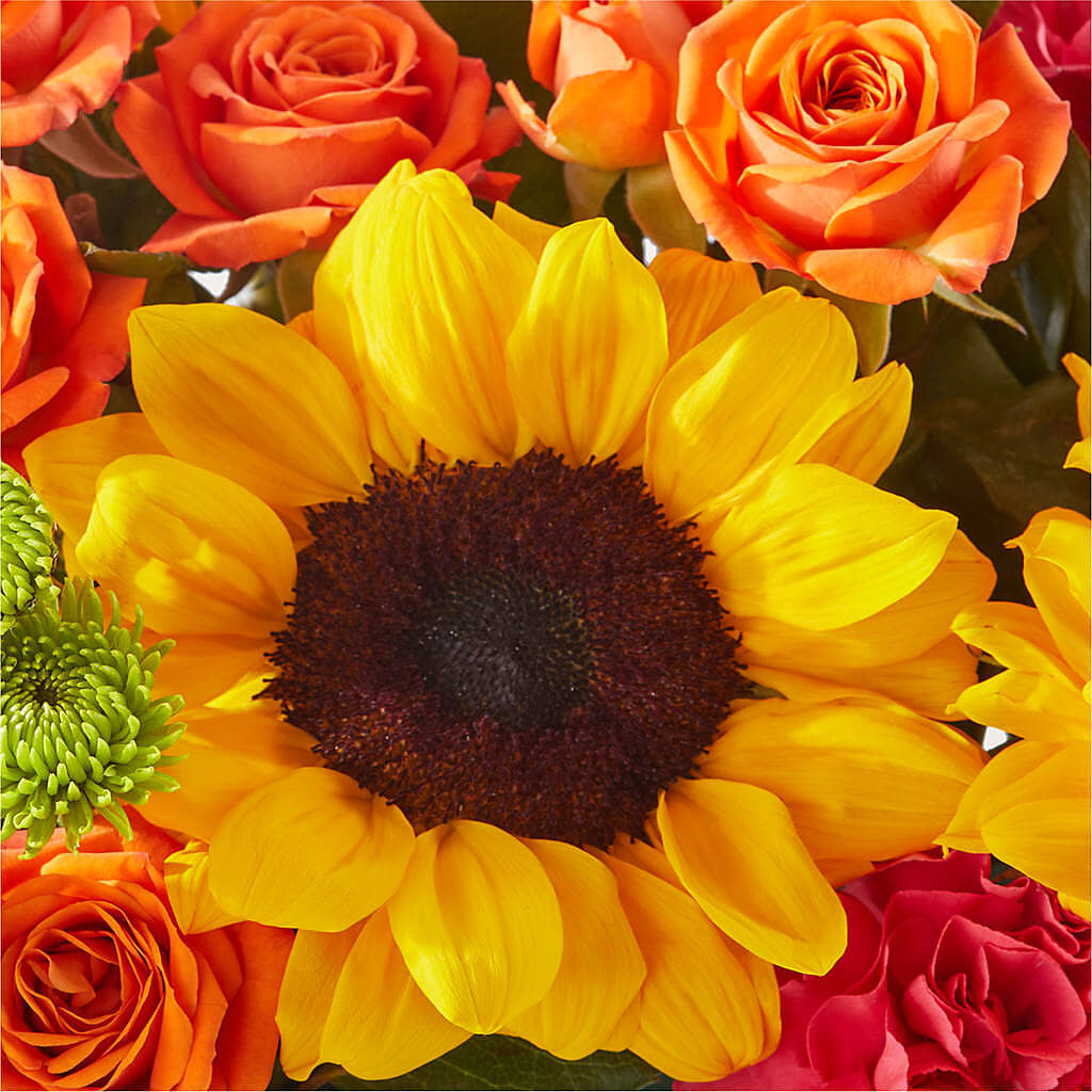 Sun-drenched Blooms Box Bouquet – YOLE'S FLOWERS, New Orleans LA
