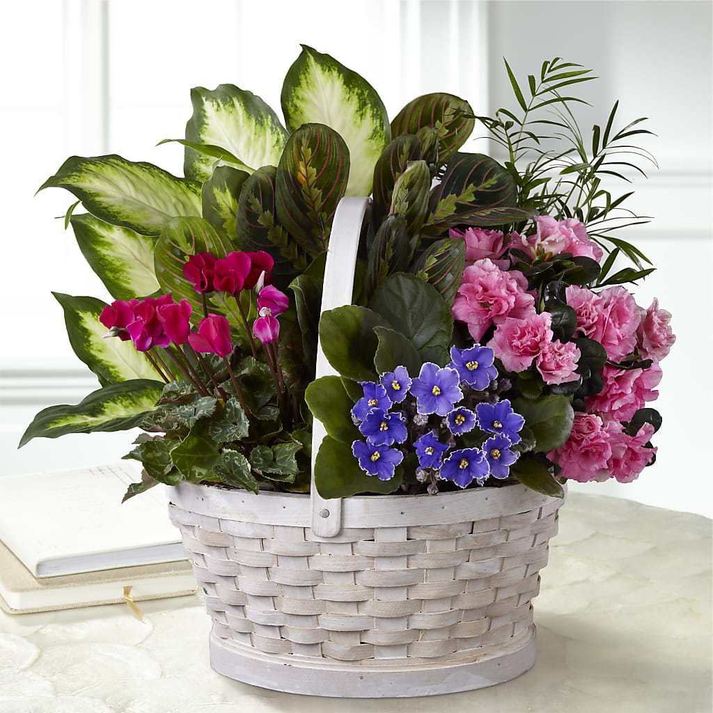 Peaceful Garden Planter – YOLE'S FLOWERS, New Orleans LA
