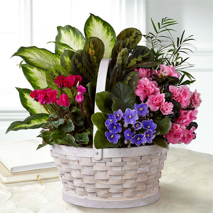 Peaceful Garden Planter – YOLE'S FLOWERS, New Orleans LA