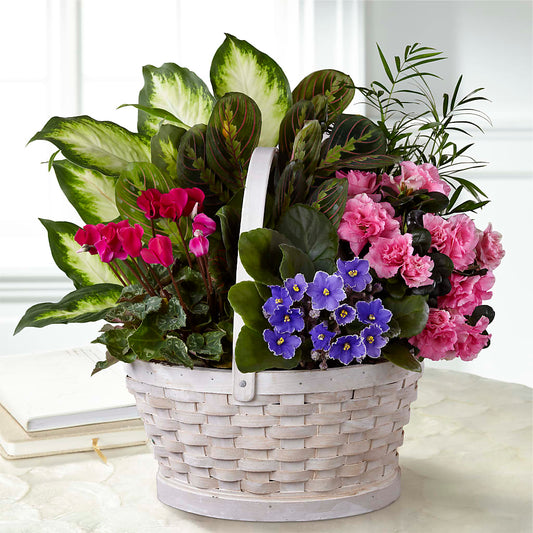 Peaceful Garden Planter – YOLE'S FLOWERS, New Orleans LA