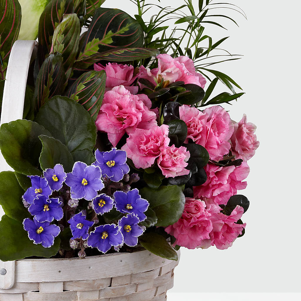 Peaceful Garden Planter – YOLE'S FLOWERS, New Orleans LA