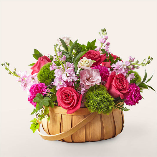 Radiance in Bloom Basket – YOLE'S FLOWERS, New Orleans LA