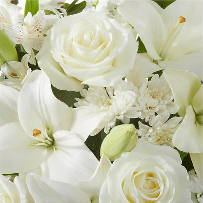Peaceful Reflections Arrangement – YOLE'S FLOWERS, New Orleans LA
