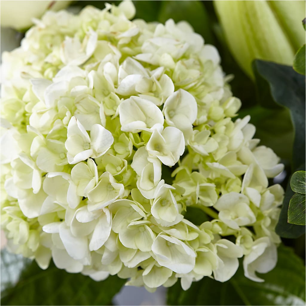 Classic Ivory – A Florist Original – YOLE'S FLOWERS, New Orleans LA