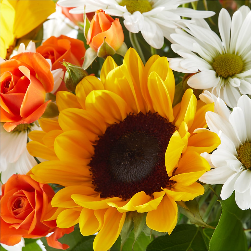 Sun-drenched Blooms Bouquet – YOLE'S FLOWERS, New Orleans LA