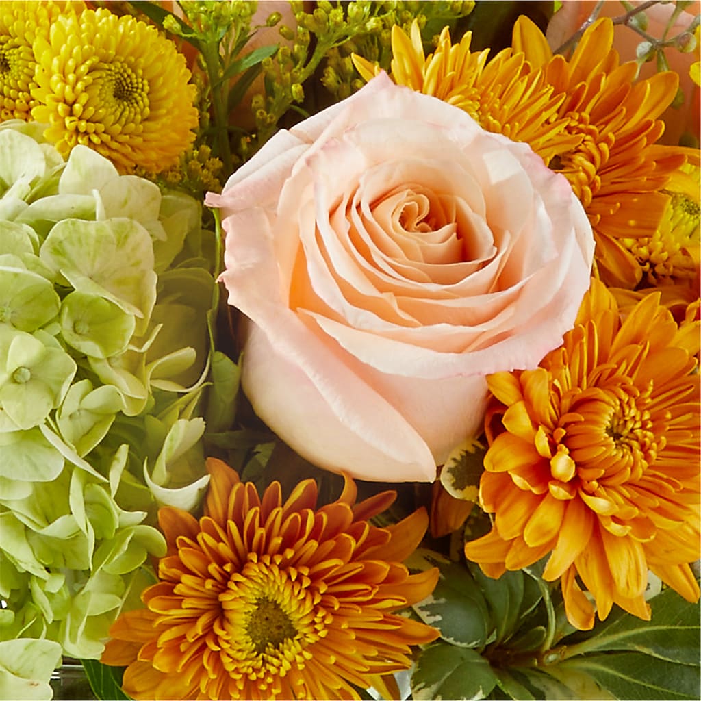 Fall Foliage Bouquet – YOLE'S FLOWERS, New Orleans LA