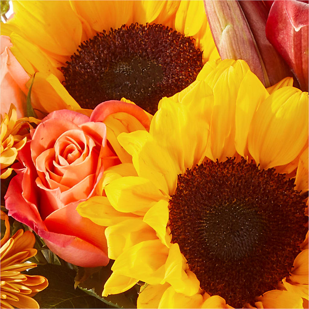 Acorn Lane Bouquet – YOLE'S FLOWERS, New Orleans LA