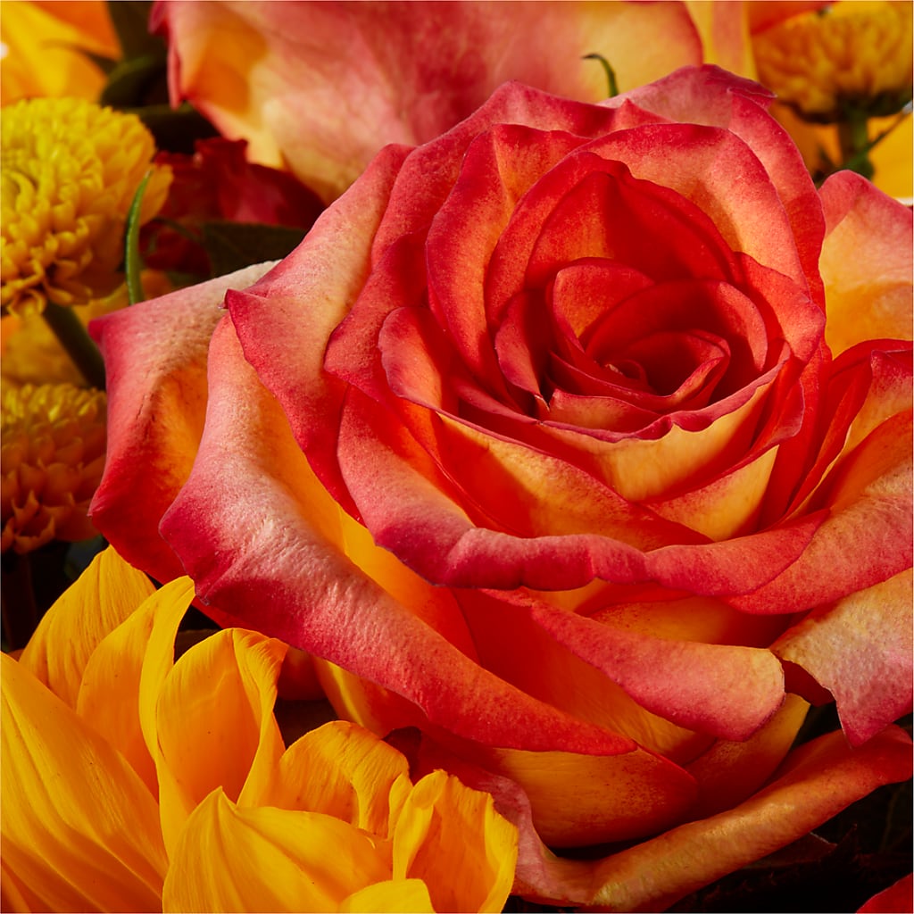 Picnic in the Park Bouquet – YOLE'S FLOWERS, New Orleans LA