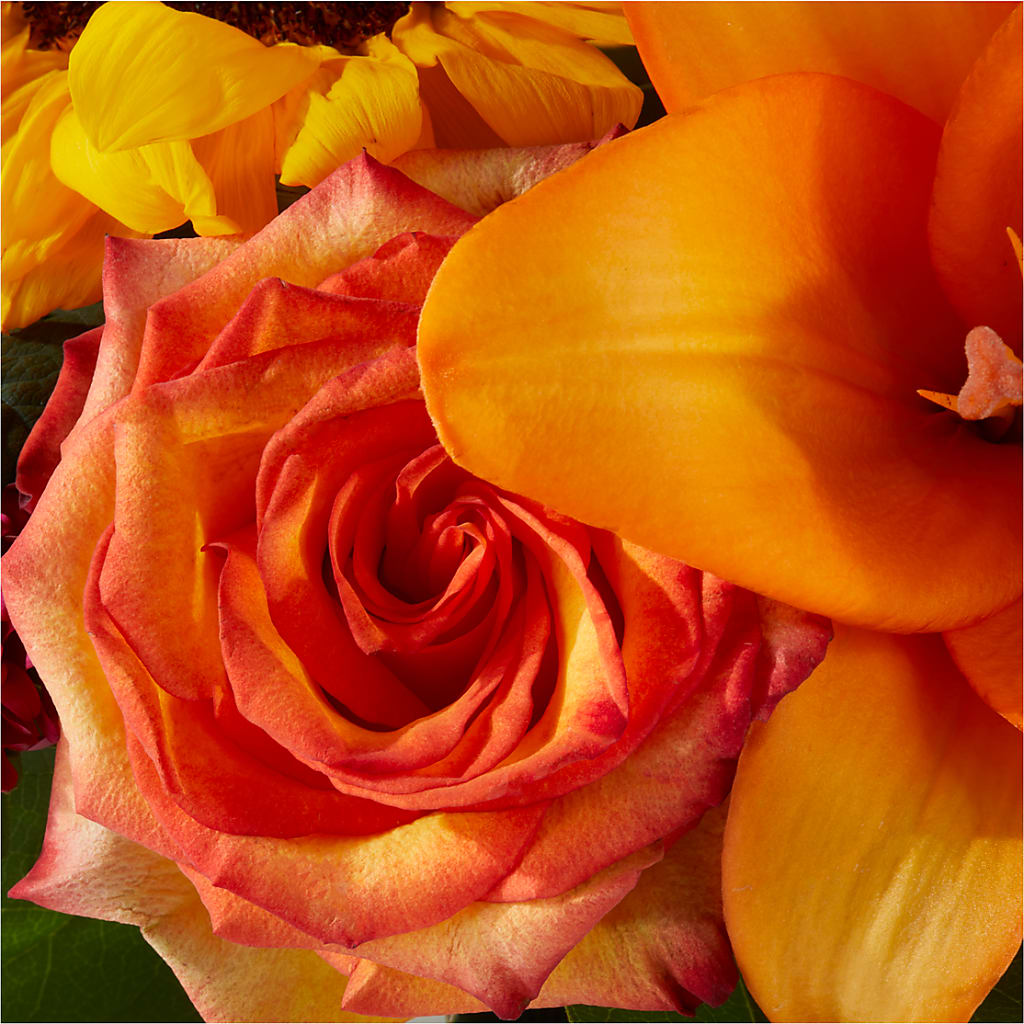 Grateful Centerpiece – YOLE'S FLOWERS, New Orleans LA