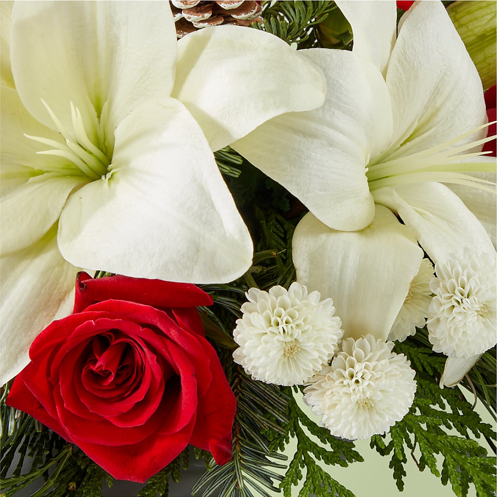 Seasonal Festivities Centerpiece – YOLE'S FLOWERS, New Orleans LA