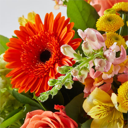 Autumn Sunshine Bouquet – YOLE'S FLOWERS, New Orleans LA
