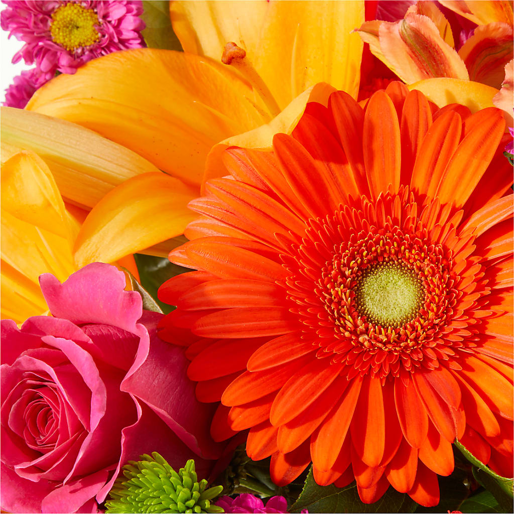 Soiree Bouquet – YOLE'S FLOWERS, New Orleans LA