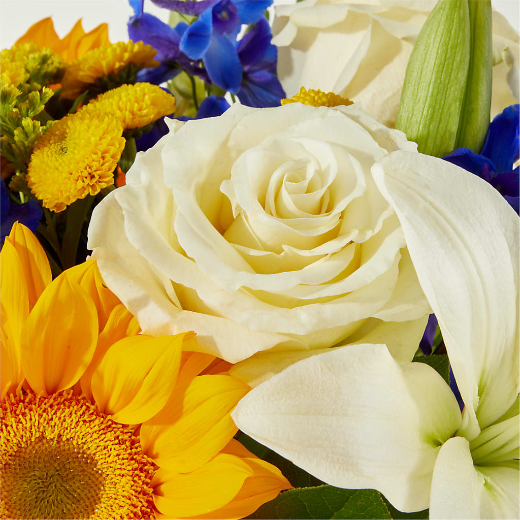 Stargazing Bouquet – YOLE'S FLOWERS, New Orleans LA