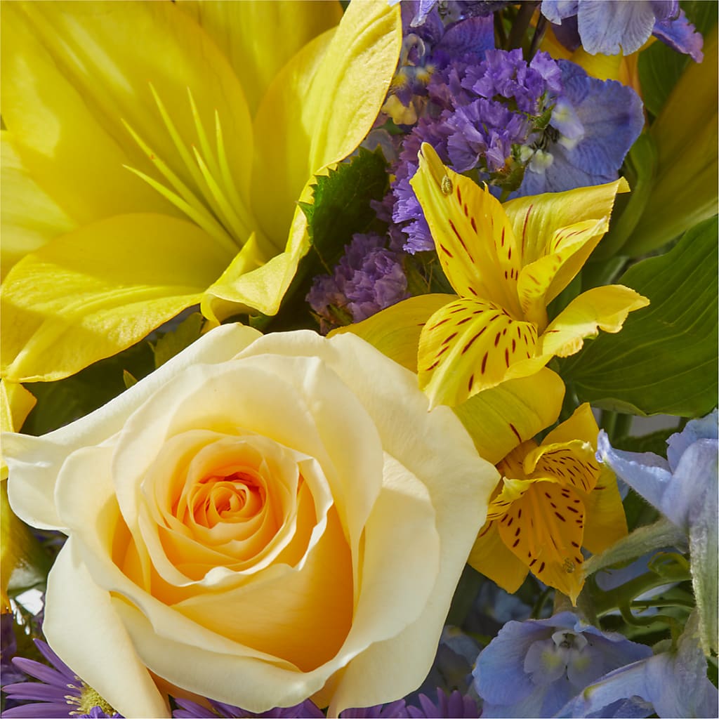 Limoncello Bouquet – YOLE'S FLOWERS, New Orleans LA